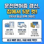 운전면허증 갱신 인터넷 발급, 사진 규격부터 수수료까지 한눈에